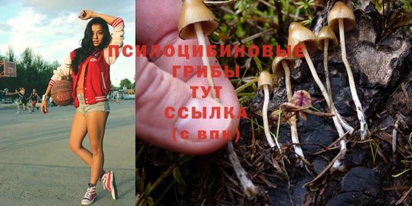 первитин Беломорск