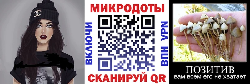 kraken рабочий сайт  Волосово  Псилоцибиновые грибы Cubensis 